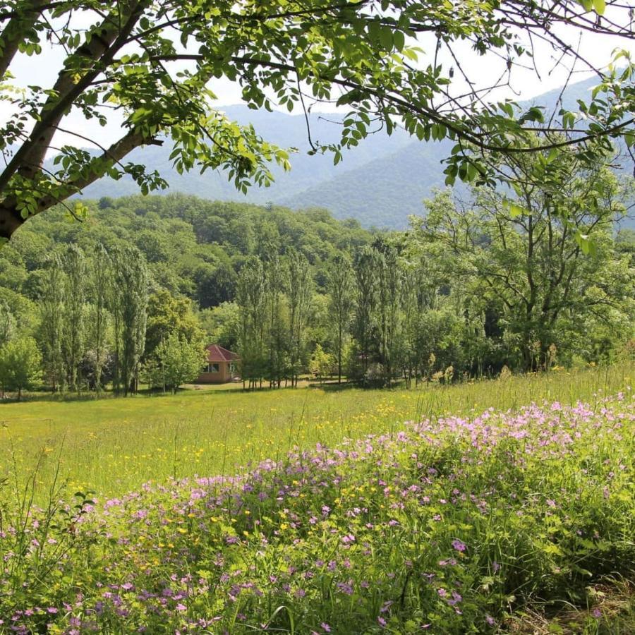 Grand Village Ismayilli Buitenkant foto